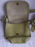 11132020 Green flap Vlll.jpg
