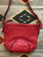 aszczygi15 fake coach D2J-9085 front.jpg
