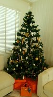 20201114_162402.jpg