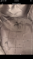 436C78A7-0758-4DD5-937B-5CB8AABBED3A.png