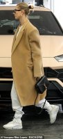 Hailey Baldwin-Beiber YSL Cassandra top handle bag 3.jpeg