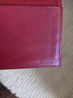 PXL_20201125_224109017.jpg