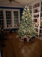 christmas tree.jpg