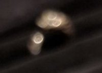 pic1.jpg