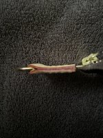1E631116-DA64-46AA-A01B-C61CB7D2D56F.jpeg