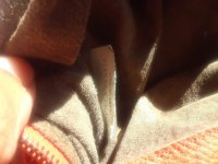 20201206_104525.jpg