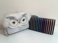 owl + ombre.jpg