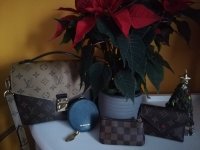 IMG_20201209_100541.jpg