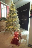IMG_20201209_1859000.jpg
