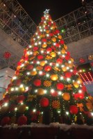 IMG_20201209_1916024.jpg