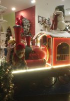 IMG_20201210_2022089~2.jpg