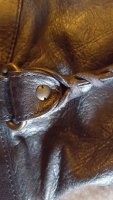 20201215_154331.jpg