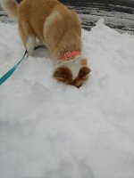 1218201015a.jpg