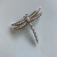 TCO dragonfly 5 -.jpg