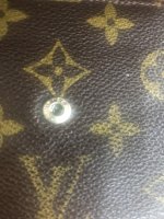 IMG_5725.jpeg