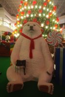 IMG_20201221_1919589.jpg
