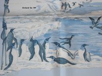 PF April Penguins (3).JPG