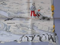 PF Penguins and huskies.JPG