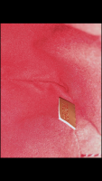 3755D2F7-8921-4895-B4E6-5BA425D0E966.png