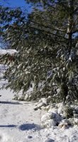 20201224_111448.jpg