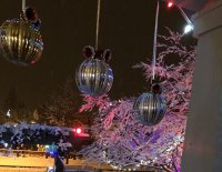 IMG_4263.JPG