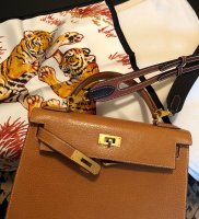 tiger and PP.jpg
