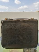 IMG_7536.jpg