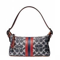 7022_SIG DENIM STRIPE DEMI-d1.jpg