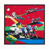 seidentuch-90-space-derby--003573S 06-flat-1-300-0-1700-1700-q50_b.jpg