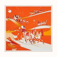 seidentuch-90-space-derby--003573S 21-flat-1-300-0-1700-1700-q50_b.jpg