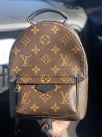LOUIS VUITTON PALM SPRINGS MINI.. 2 YEAR REVIEW, GLAZING ISSUES