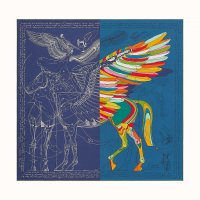le-pegase-d-hermes-cut-wash-scarf-140--653694S 11-flat-1-300-0-1700-1700-q50_b.jpg