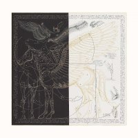 le-pegase-d-hermes-cut-wash-scarf-140--653694S 13-flat-1-300-0-1700-1700-q50_b.jpg