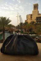 IMG_20200721_1828263.jpg