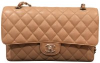 17B Dark Beige.jpg