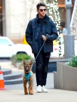 nick-jonas-new-dog-gino-priyanka-chopra-puppy-splashnews-post.jpg