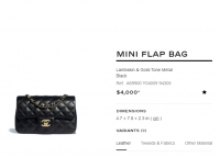 Mini Flap.PNG