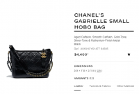 Gabrielle hobo small.PNG