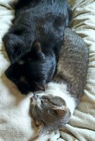 20170225_153257.jpg