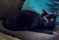 20190217_124114~2.jpg