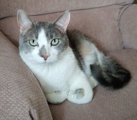 20201213_091644.jpg