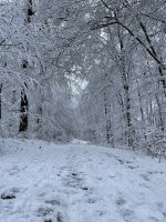 C9BC5C40-50B6-46B4-B3C6-D2D67B22CF99.jpeg