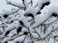 A17CCCB9-3E0E-4D4B-98C3-87AC5542CC6C.jpeg
