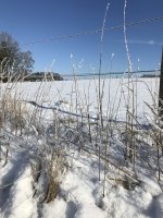 31F416A0-AFC1-4DC1-9C0F-8AB1BEA13A26.jpeg