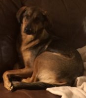 IMG_4301.jpeg