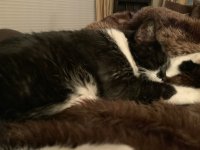 IMG_0943.jpg
