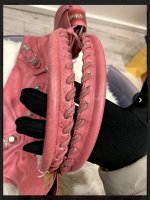8AD008B2-B9B9-46AA-91AA-7A9A7AD85DCC.jpeg