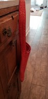 20210206_170730.jpg