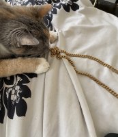 DA86375B-C16C-44C9-A377-15D8A3DC1AD6.jpeg