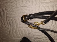IMG_20210209_181745955.jpg